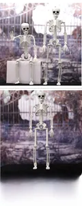 Detailed view of posable Halloween skeleton props with movable joints for spooky decor