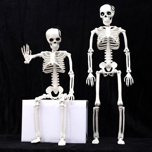 Movable joint Halloween skeleton set with hanging loops for party decoration and scene layout