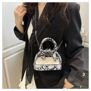 Chic transparent shell bag with snake print trim and metal chain worn by a model