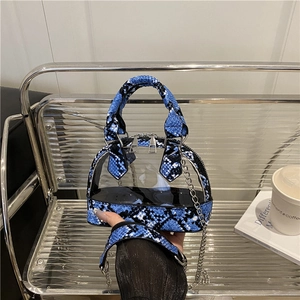 Transparent PVC Patchwork Snake Skin Zebra Print Shell Crossbody Bag Mini Handbag With Metal Chain Strap For Women Fashion Accessory