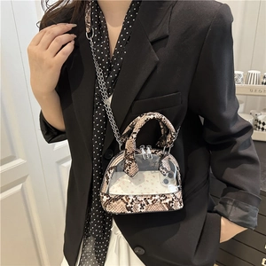 Transparent PVC shell bag with snakeskin pattern and silver chain shoulder strap
