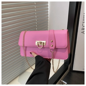 Close-up of pink crossbody bag with gold D-buckle and elegant chain strap detail