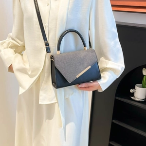 Minimalist bicolor square handbag with metal trim shown as a crossbody bag for women