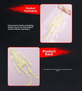 Detail view of 32cm glow-in-the-dark Halloween skeleton showing packaging and concave back