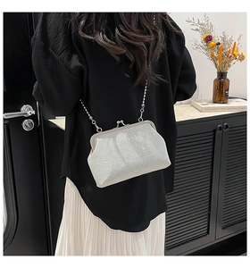 Detail of silver glitter kiss-lock bag with metallic chain strap shown on shoulder
