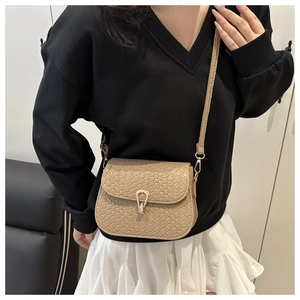 Detail of beige woven texture bag featuring elegant gold metal clasp and leather strap