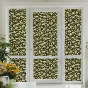 Detail of floral window film with daisy pattern on a glass door for privacy and decor