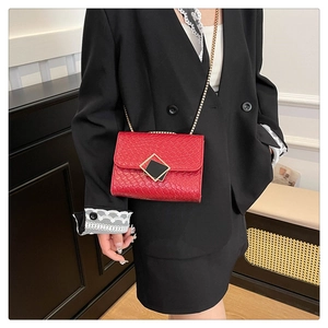 Close-up of red textured small square bag with gold chain strap and metal clasp