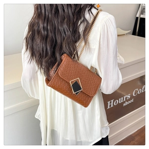 Detail shot of brown woven texture crossbody bag with gold chain strap and metal buckle