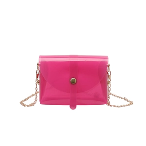 Chic rose pink transparent PVC mini crossbody bag with gold chain and snap closure