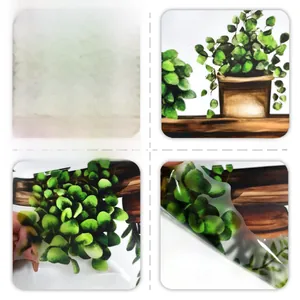Detail of transparent self-adhesive wall sticker showing green potted plant design texture