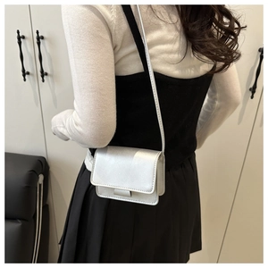 Silver metallic mini crossbody bag shown on model for a stylish side-carry perspective