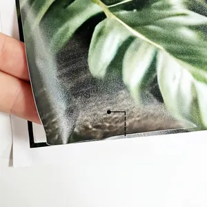 Macro detail showing thickness and adhesive edge of tropical leaf wall sticker