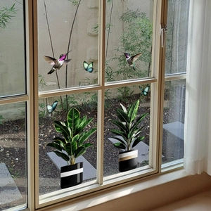 Detail of realistic hummingbird and butterfly static window clings on glass surface
