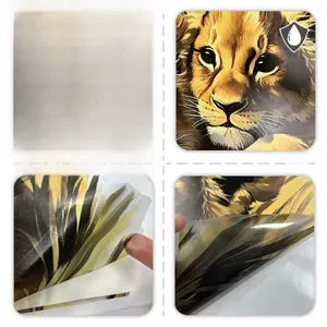 Detail showing the waterproof material and double-sided peeling of the lion wall sticker