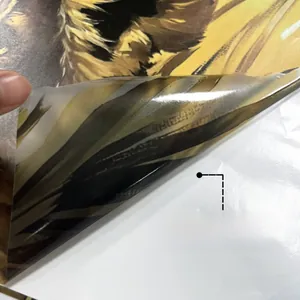 Close-up of the self-adhesive backing being peeled off the lion wall sticker