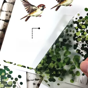 Detail showing removal of transparent PVC sparrow wall sticker with adhesive backing