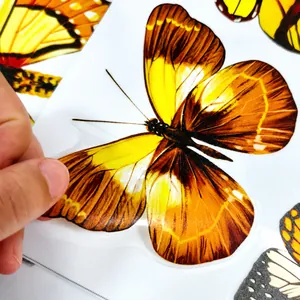 Detail showing high-quality double-sided colorful printing on transparent butterfly stickers