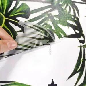 Detail showing self-adhesive tropical monstera leaf wall sticker being peeled from backing