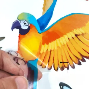 Detailed close-up showing self-adhesive parrot wall decal being peeled from the backing