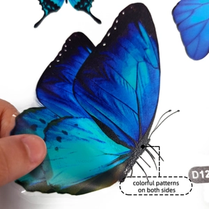 Detail of blue butterfly window sticker showing colorful patterns on both sides