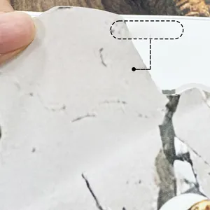 Detail of adhesive dinosaur wall decal edge showing it is suitable for any color wall