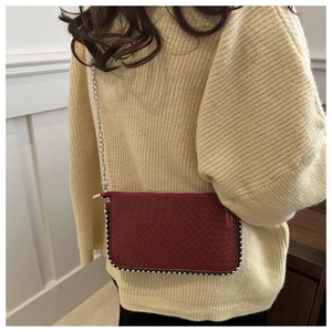 Detail of reddish-brown snakeskin crossbody bag with silver bead trim and chain strap