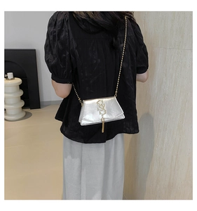 Detail of silver crossbody bag with golden S-buckle and chain strap on shoulder
