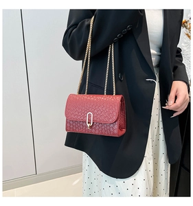 Detail of red woven leather crossbody bag with gold chain strap worn by a model