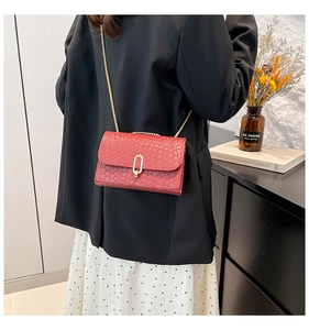 Close-up of red woven crossbody bag with gold chain strap and oval metal clasp detail