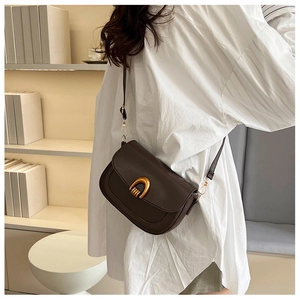 Detail of dark brown saddle bag with golden horseshoe buckle and adjustable strap