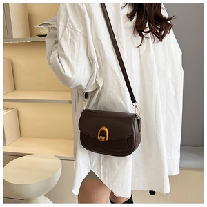 Detail of a dark brown leather saddle bag with a golden horseshoe buckle and strap