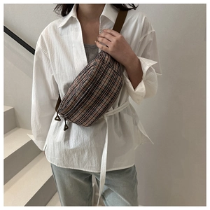 Detail of plaid crossbody waist bag featuring dual zippers and adjustable wide strap
