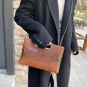 Brown crocodile pattern crossbody bag with silver metal handle and chain strap on model