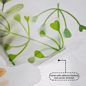 Macro de l'autocollant feuille mat translucide montrant le support adhésif et amovible