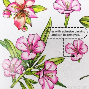 Détail de stickers muraux floraux roses imperméables avec gouttes d'eau et feuilles vertes