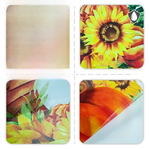 Détail macro du sticker de fenêtre étanche motif citrouille et tournesol double face