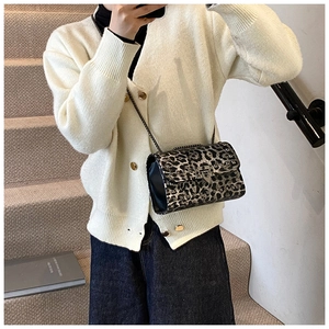 Detail of leopard print crossbody bag with silver metal studs and sleek chain strap