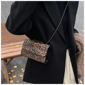 Close-up of leopard print crossbody bag with metallic studs and chain strap outdoors