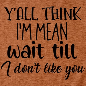 Detail of rust brown cotton T-shirt showing y'all think i'm mean slogan print texture
