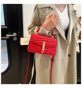 Detail of red crocodile texture handbag with golden metal clasp and leather handle
