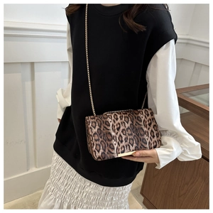 Fashionable leopard print crossbody bag with gold chain strap shown on model outfit