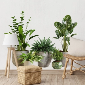 Modern potted green plant wall stickers for living room and balcony wall decoration