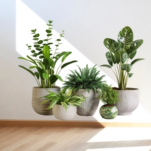 Potted green indoor plants wall sticker set with realistic ceramic pots on white background