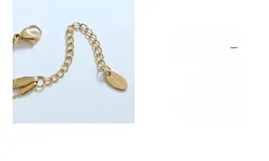 Macro shot of 18K gold plated lobster clasp and adjustable link chain with logo tag