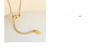 Detaillierte Nahaufnahme des 18K vergoldeten Halskettenverschlusses und der Kette