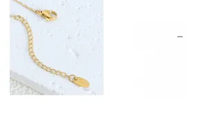 Détail du fermoir mousqueton et étiquette en acier inoxydable sur collier doré