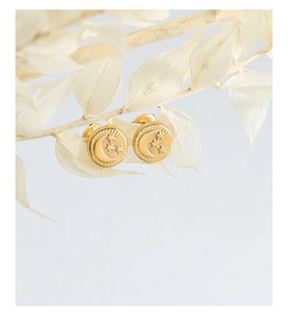 Close-up of gold coin earrings with celestial moon and star relief on dried branch