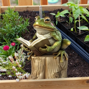 Detail of vivid resin frog figurine reading a book on a stump in a lush garden