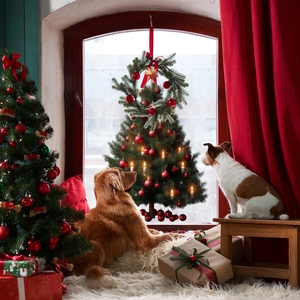 Detailed Christmas tree stickers with festive red ornaments on window glass